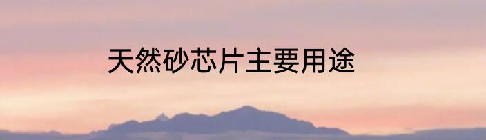 天然砂芯片主要用途