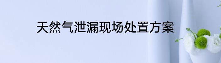 天然气泄漏现场处置方案