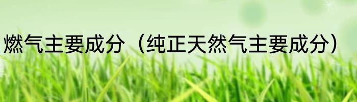 燃气主要成分（纯正天然气主要成分）