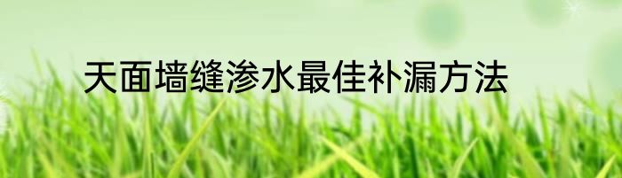 天面墙缝渗水最佳补漏方法