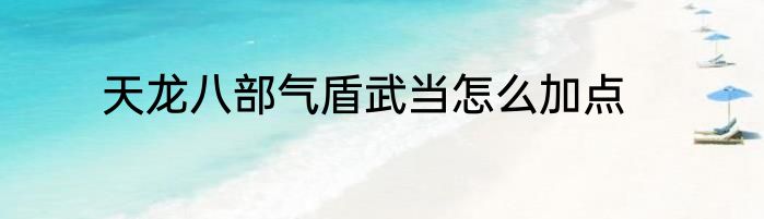 天龙八部气盾武当怎么加点