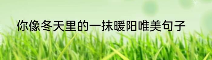 你像冬天里的一抹暖阳唯美句子
