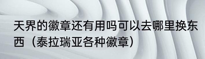 天界的徽章还有用吗可以去哪里换东西（泰拉瑞亚各种徽章）