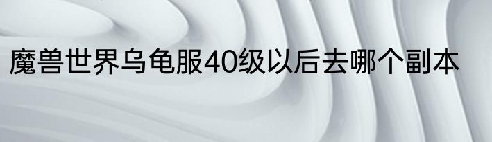 魔兽世界乌龟服40级以后去哪个副本