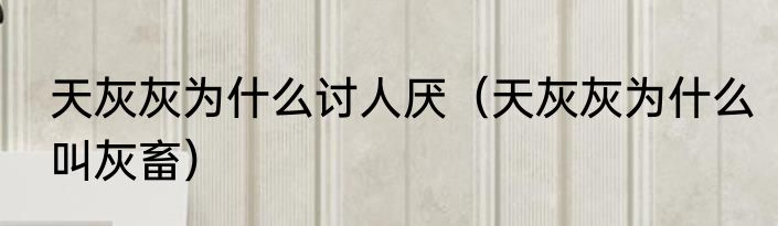 天灰灰为什么讨人厌（天灰灰为什么叫灰畜）