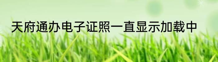 天府通办电子证照一直显示加载中