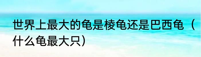 世界上最大的龟是棱龟还是巴西龟（什么龟最大只）