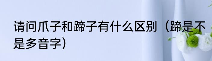 请问爪子和蹄子有什么区别（蹄是不是多音字）