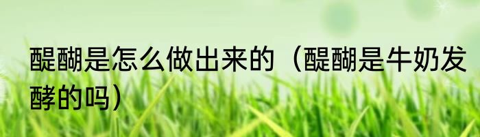 醍醐是怎么做出来的（醍醐是牛奶发酵的吗）