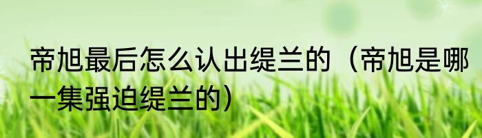 帝旭最后怎么认出缇兰的（帝旭是哪一集强迫缇兰的）