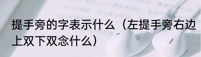 提手旁的字表示什么（左提手旁右边上双下双念什么）