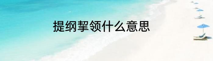 提纲挈领什么意思