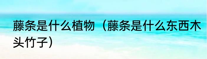 藤条是什么植物（藤条是什么东西木头竹子）