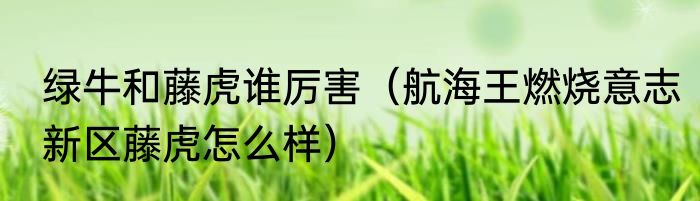 绿牛和藤虎谁厉害（航海王燃烧意志新区藤虎怎么样）