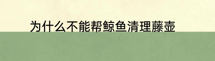 为什么不能帮鲸鱼清理藤壶