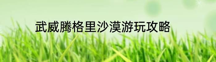 武威腾格里沙漠游玩攻略