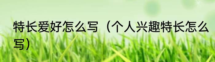 特长爱好怎么写（个人兴趣特长怎么写）