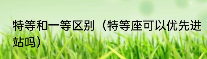 特等和一等区别（特等座可以优先进站吗）