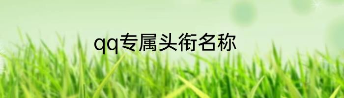 qq专属头衔名称