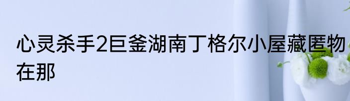 心灵杀手2巨釜湖南丁格尔小屋藏匿物在那