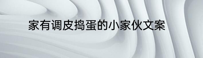 家有调皮捣蛋的小家伙文案