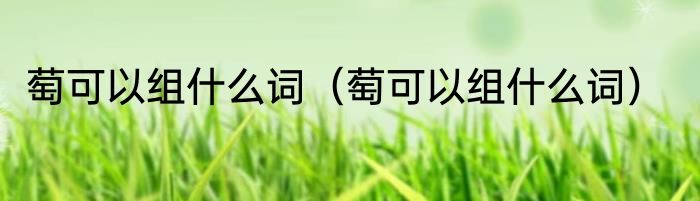 萄可以组什么词（萄可以组什么词）