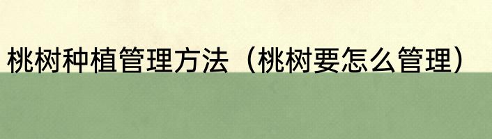 桃树种植管理方法（桃树要怎么管理）