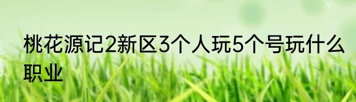 桃花源记2新区3个人玩5个号玩什么职业
