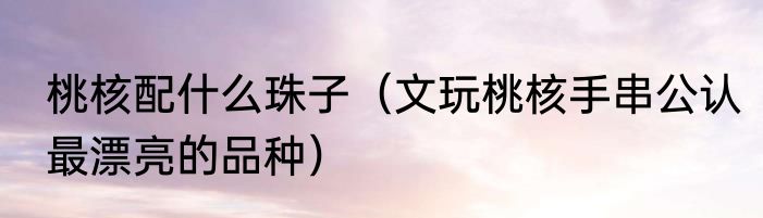 桃核配什么珠子（文玩桃核手串公认最漂亮的品种）