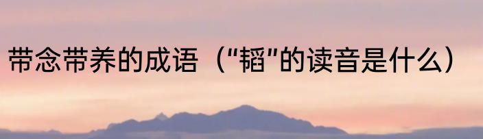 带念带养的成语（“韬”的读音是什么）