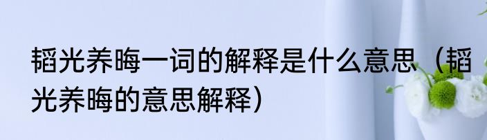 韬光养晦一词的解释是什么意思（韬光养晦的意思解释）