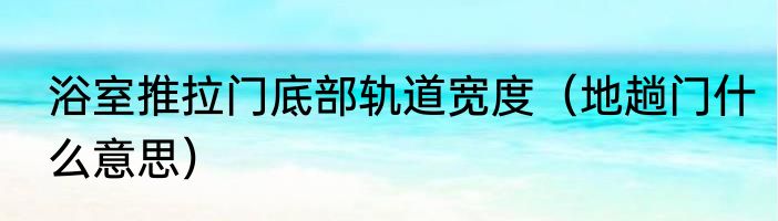 浴室推拉门底部轨道宽度（地趟门什么意思）