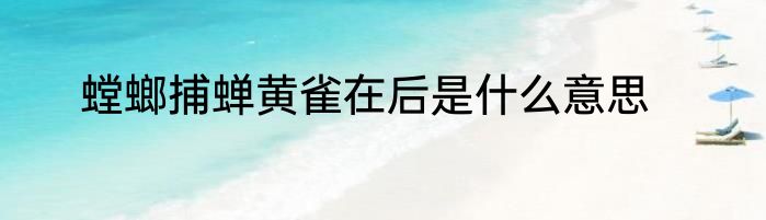 螳螂捕蝉黄雀在后是什么意思