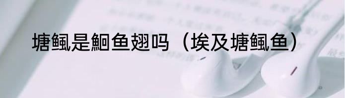 塘鲺是鮰鱼翅吗（埃及塘鲺鱼）