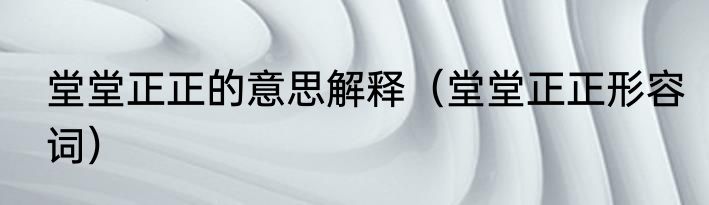 堂堂正正的意思解释（堂堂正正形容词）