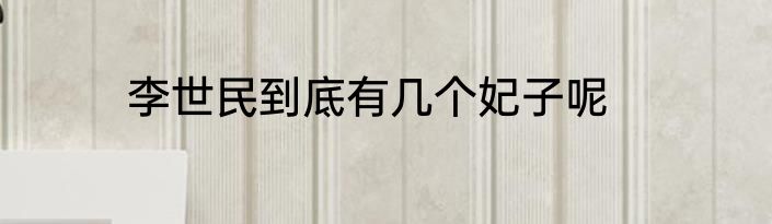 李世民到底有几个妃子呢