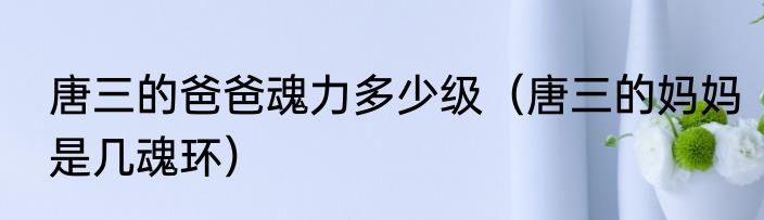 唐三的爸爸魂力多少级（唐三的妈妈是几魂环）