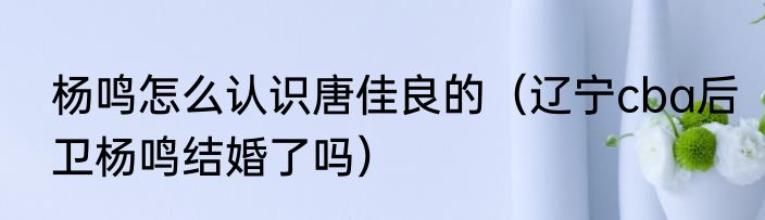 杨鸣怎么认识唐佳良的（辽宁cba后卫杨鸣结婚了吗）