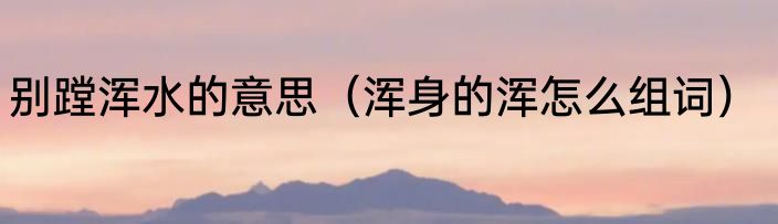 别蹚浑水的意思（浑身的浑怎么组词）