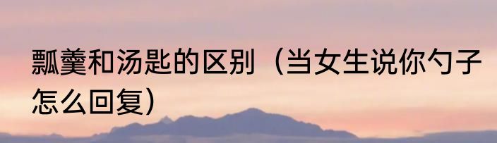 瓢羹和汤匙的区别（当女生说你勺子怎么回复）