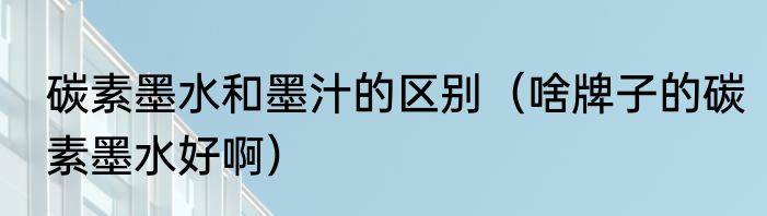 碳素墨水和墨汁的区别（啥牌子的碳素墨水好啊）
