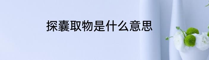 探囊取物是什么意思