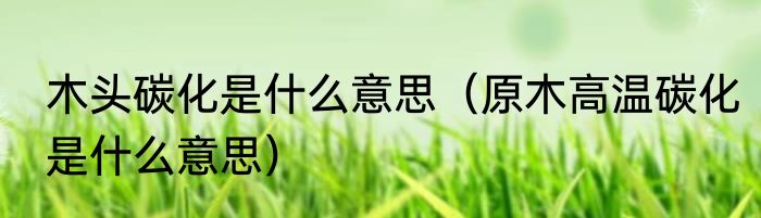 木头碳化是什么意思（原木高温碳化是什么意思）