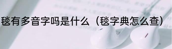 毯有多音字吗是什么（毯字典怎么查）