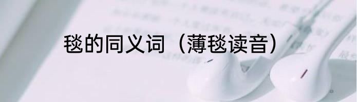 毯的同义词（薄毯读音）