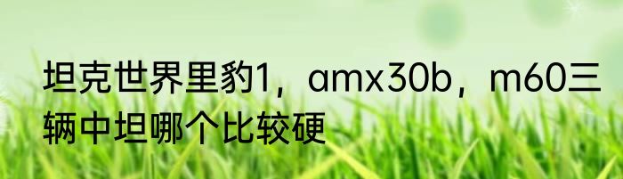 坦克世界里豹1，amx30b，m60三辆中坦哪个比较硬