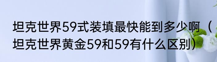 坦克世界59式装填最快能到多少啊（坦克世界黄金59和59有什么区别）