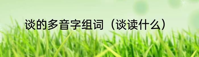 谈的多音字组词（谈读什么）