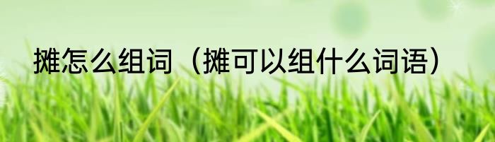 摊怎么组词（摊可以组什么词语）