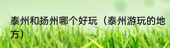 泰州和扬州哪个好玩（泰州游玩的地方）